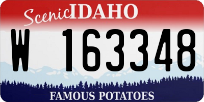ID license plate W163348