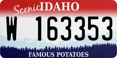 ID license plate W163353