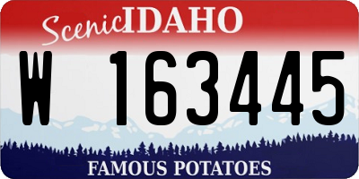 ID license plate W163445