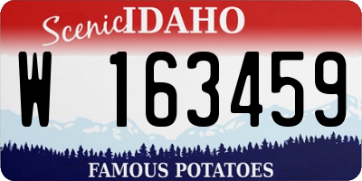 ID license plate W163459