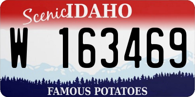 ID license plate W163469