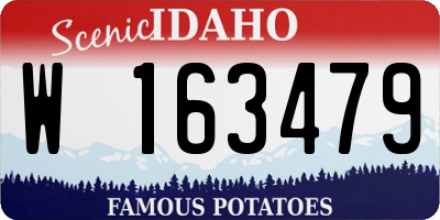 ID license plate W163479