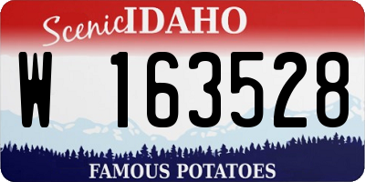 ID license plate W163528