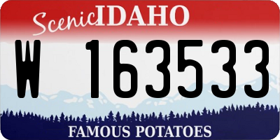ID license plate W163533