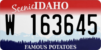 ID license plate W163645