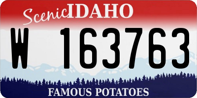 ID license plate W163763