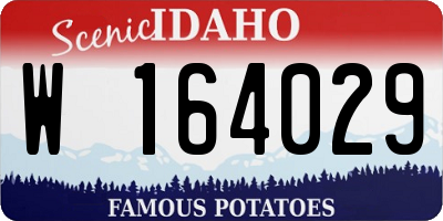 ID license plate W164029