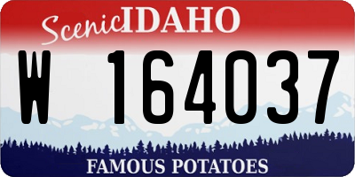 ID license plate W164037