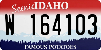 ID license plate W164103