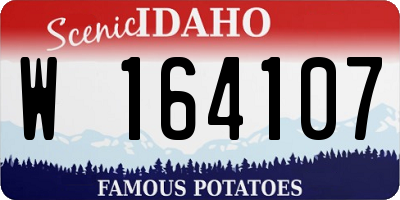 ID license plate W164107