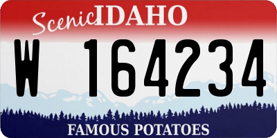 ID license plate W164234