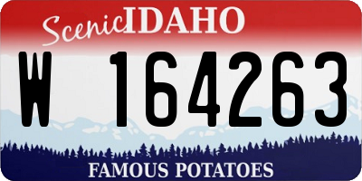 ID license plate W164263