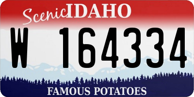 ID license plate W164334