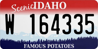 ID license plate W164335