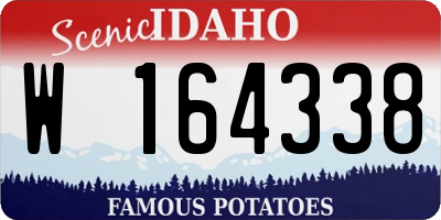 ID license plate W164338