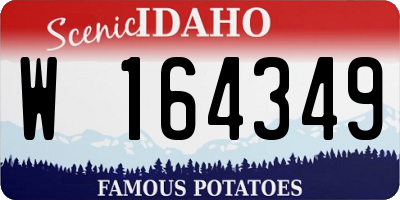 ID license plate W164349