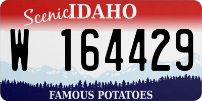 ID license plate W164429