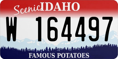 ID license plate W164497