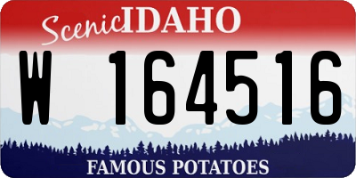 ID license plate W164516