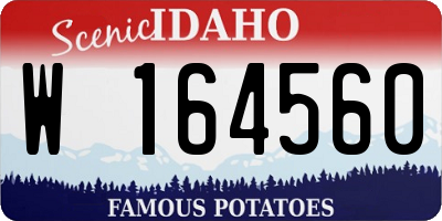 ID license plate W164560