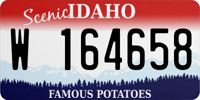 ID license plate W164658