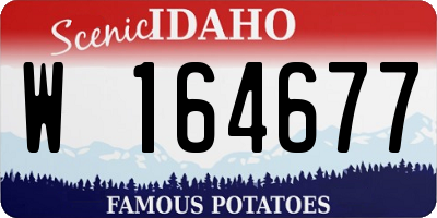 ID license plate W164677