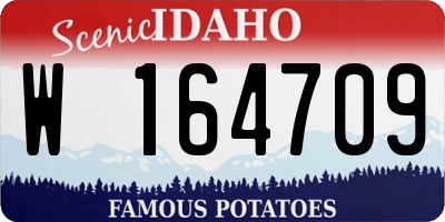 ID license plate W164709