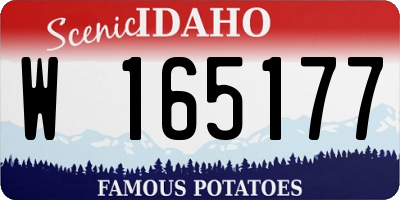 ID license plate W165177