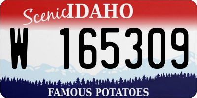 ID license plate W165309