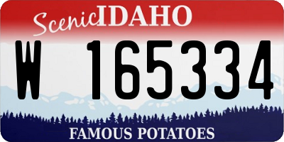 ID license plate W165334