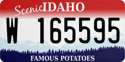 ID license plate W165595