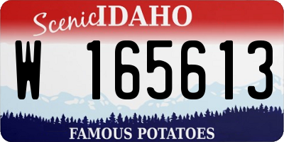 ID license plate W165613