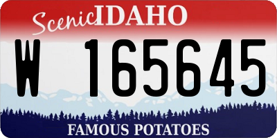 ID license plate W165645