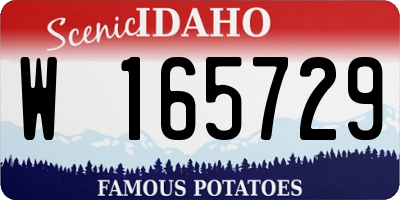 ID license plate W165729