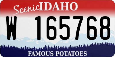 ID license plate W165768