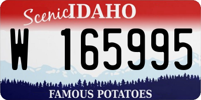 ID license plate W165995