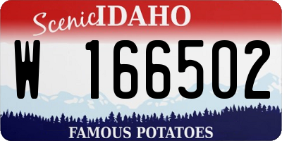ID license plate W166502