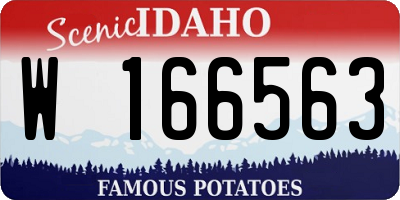 ID license plate W166563