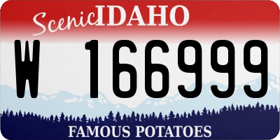 ID license plate W166999