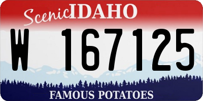 ID license plate W167125