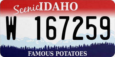 ID license plate W167259