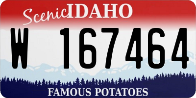 ID license plate W167464