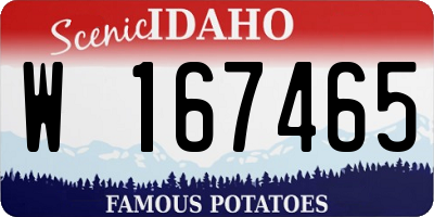 ID license plate W167465