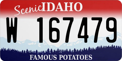 ID license plate W167479