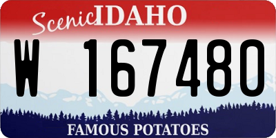 ID license plate W167480