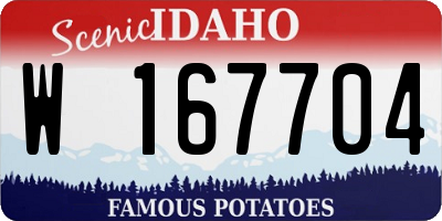 ID license plate W167704
