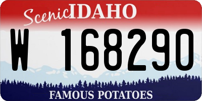ID license plate W168290