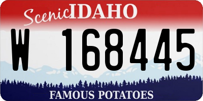 ID license plate W168445