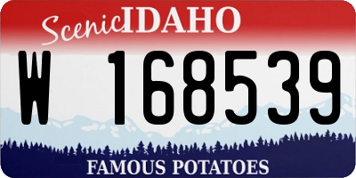 ID license plate W168539