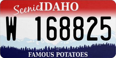 ID license plate W168825